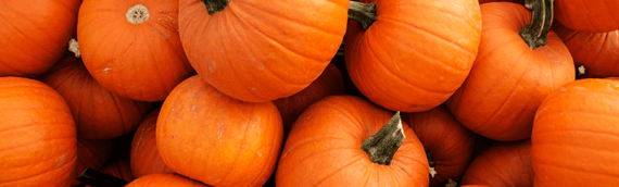 Ultimate Pumpkin Recipes for Fall